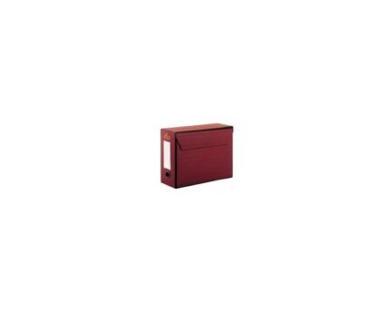 Lot de 2 Boites de classement et d`archivage en simili rayé avec couvercle 35X25 coloris au choix